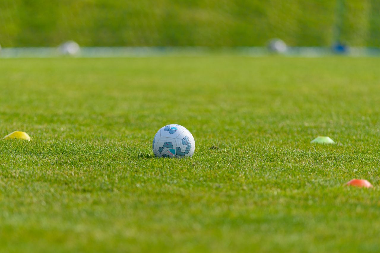 Soccer ball on a vibrant green grass field surrounded by colorful training cones, ideal for sports and recreation themes.